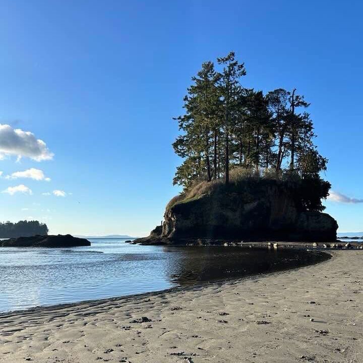 Picture of Salt Creek 