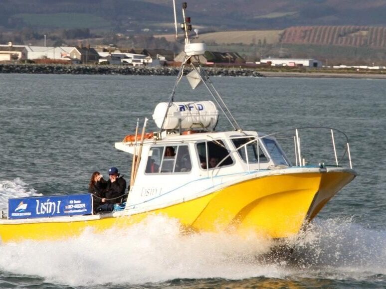 Picture of Wicklow Boat Charters