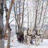 A Cozy Winter Wedding at Mountain Top Inn & Resort in Chittenden, Vermont