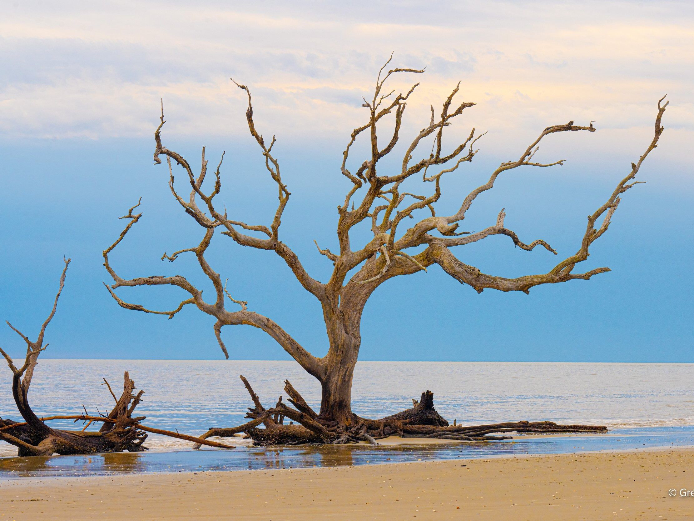Picture of Jekyll Island