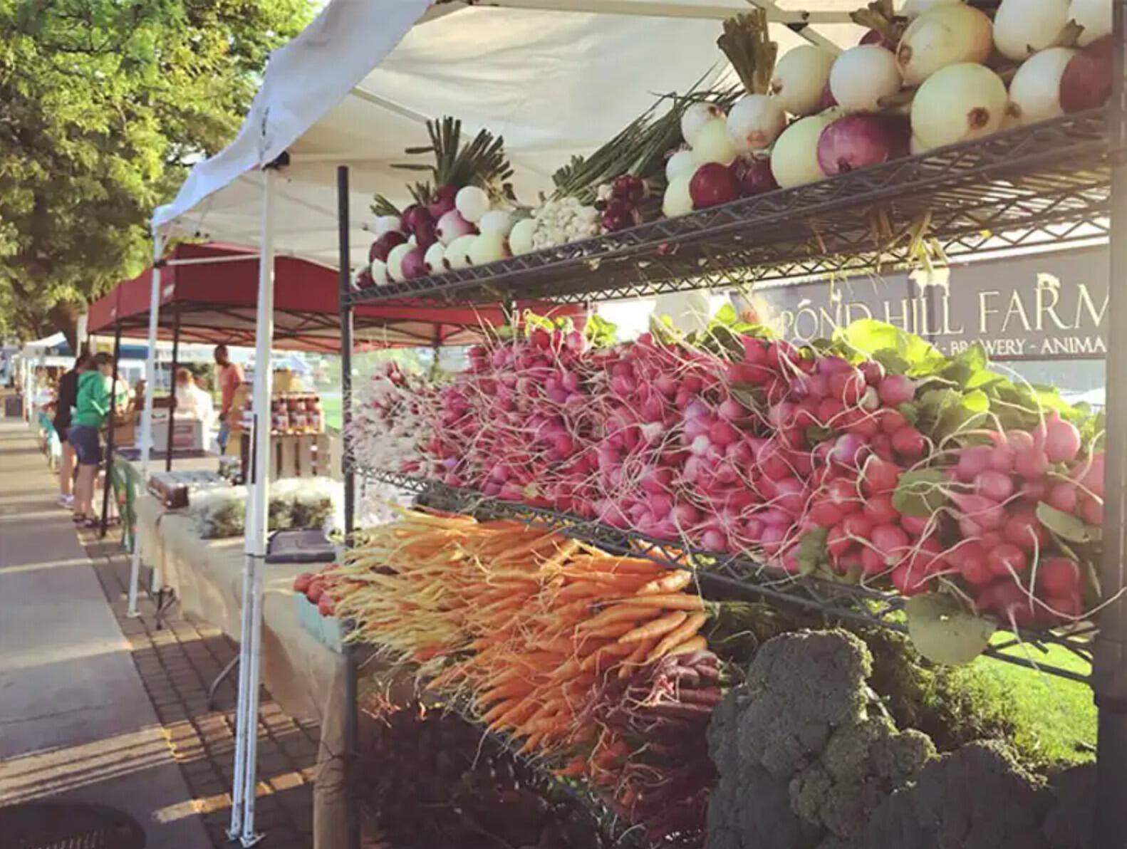 Picture of Charlevoix Farmer's Market
