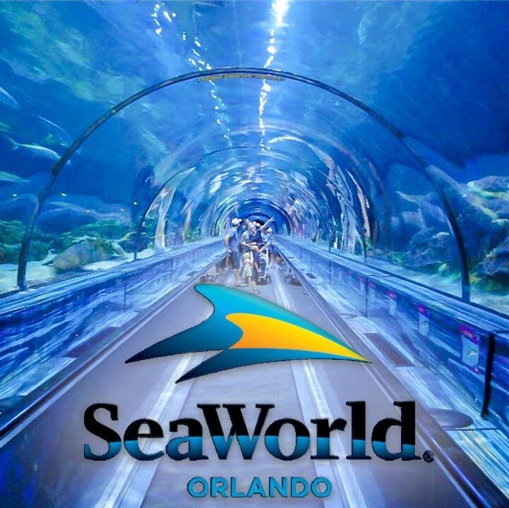 Picture of SeaWorld Orlando