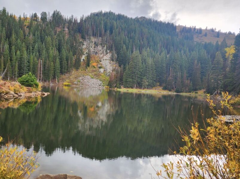 Picture of Bloods Lake Trail