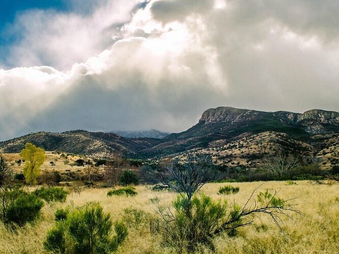 Picture of Brown Canyon Trailhead #115