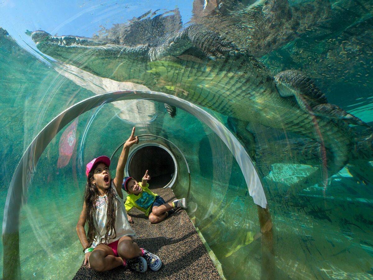 Picture of Zoo Miami