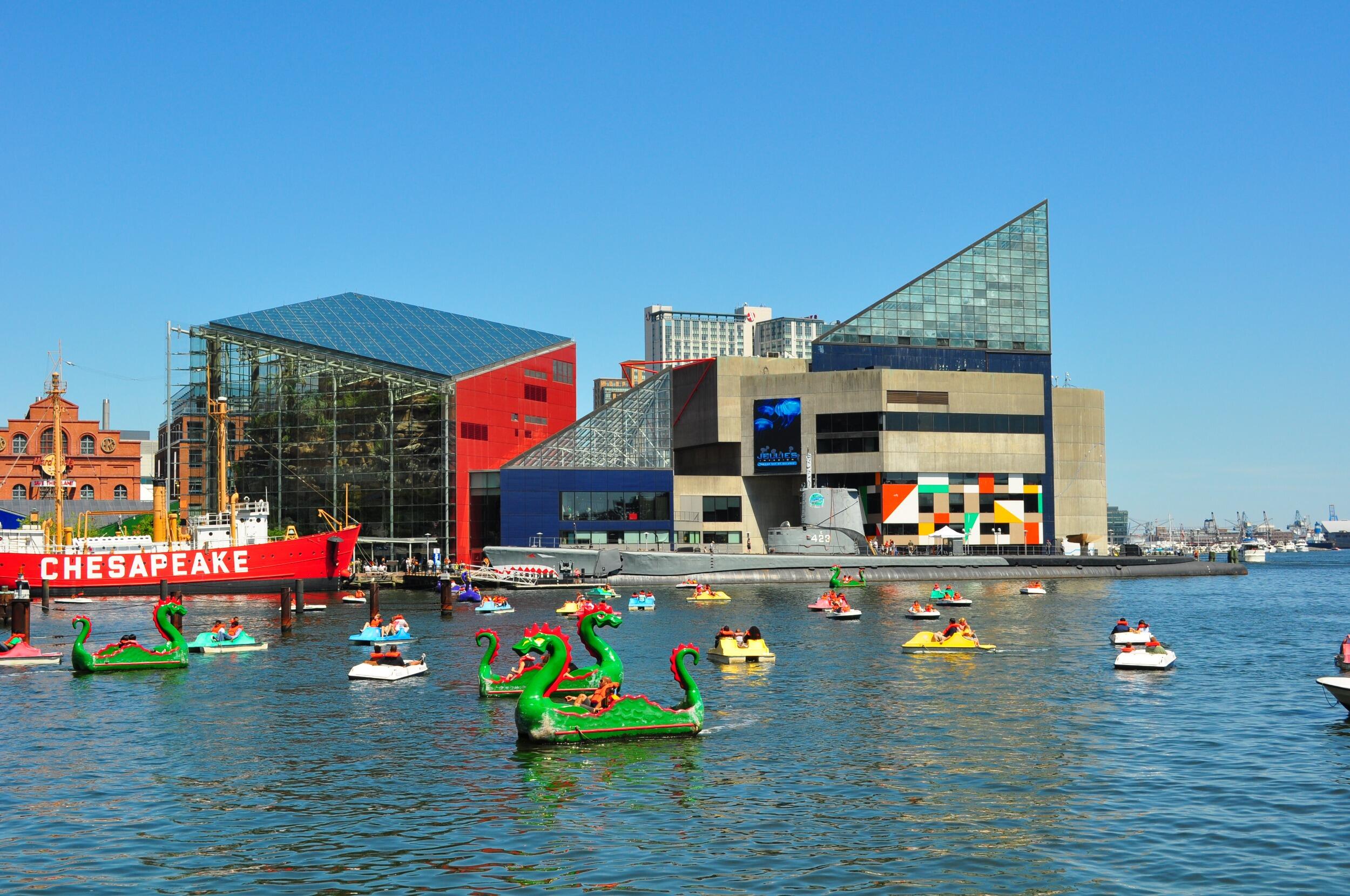 Picture of National Aquarium
