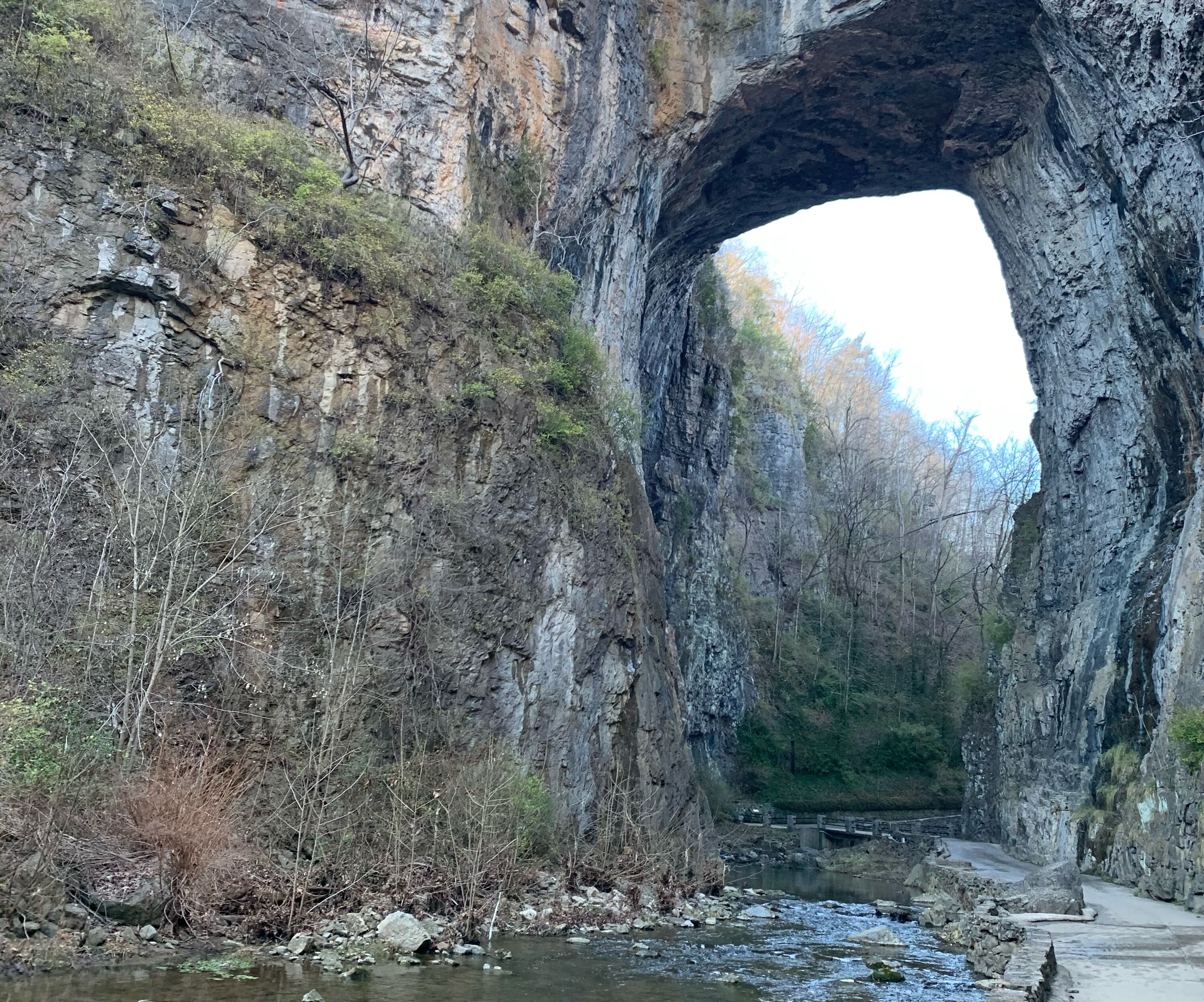 Picture of The Natural Bridge 