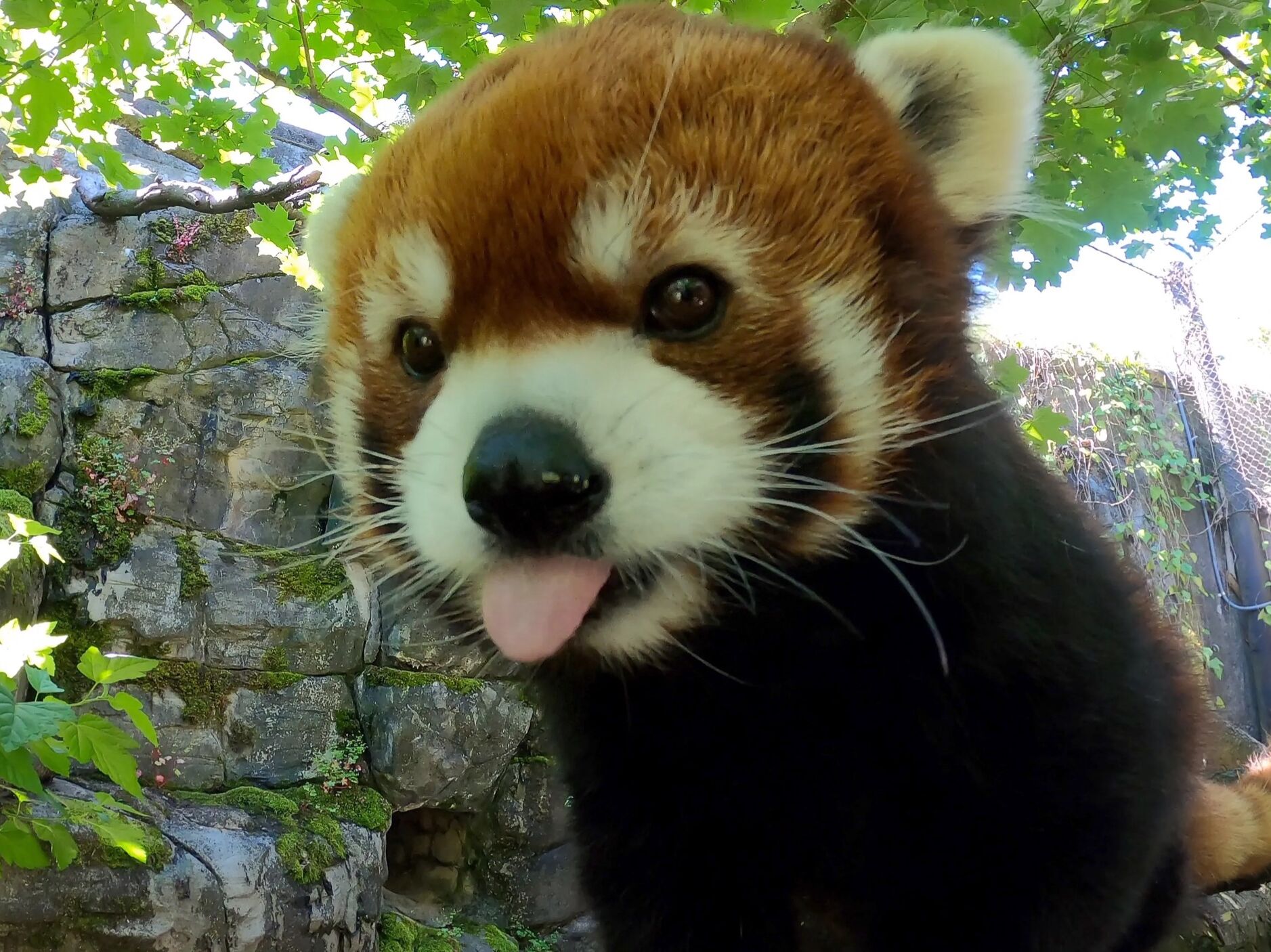 Picture of Oregon Zoo