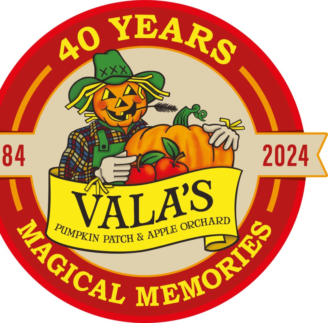 Picture of Vala's Pumpkin Patch