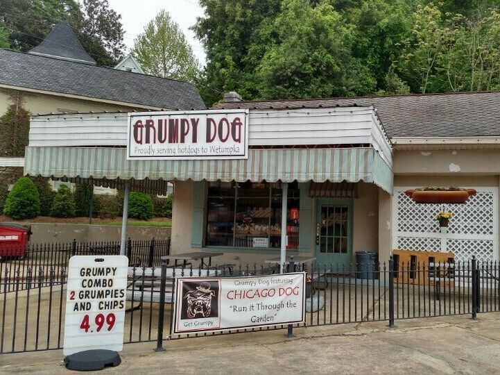 Picture of Grumpy Dog