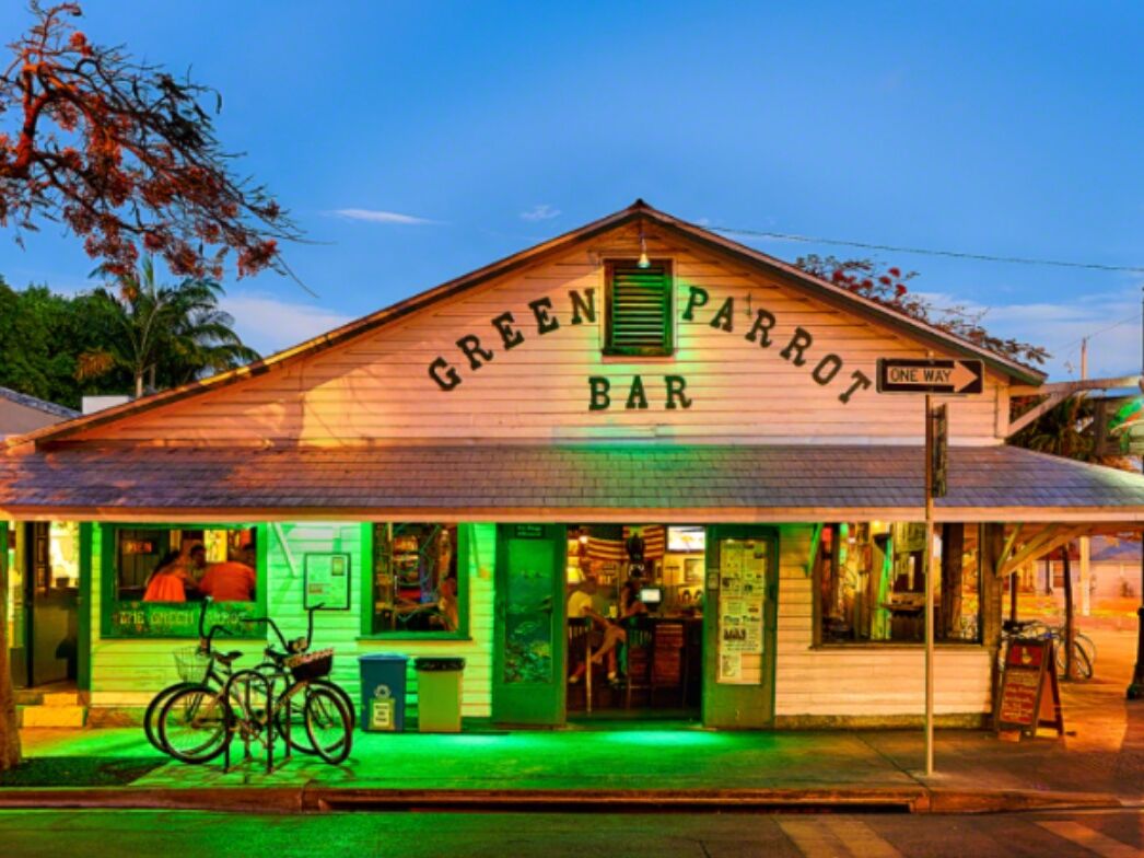 Picture of Green Parrot Bar