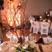 Branch Centerpiece with Lit Candles