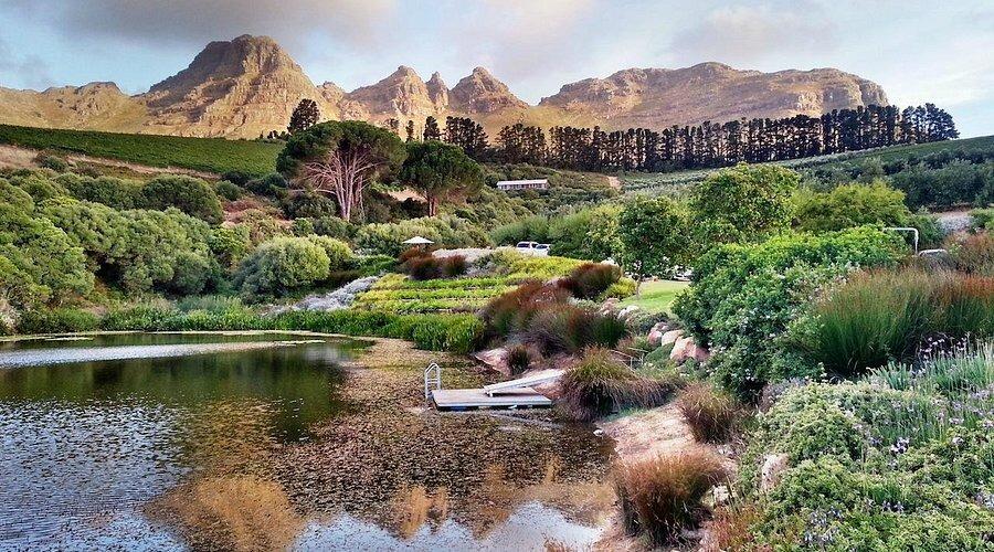 Picture of Hidden Valley Wines