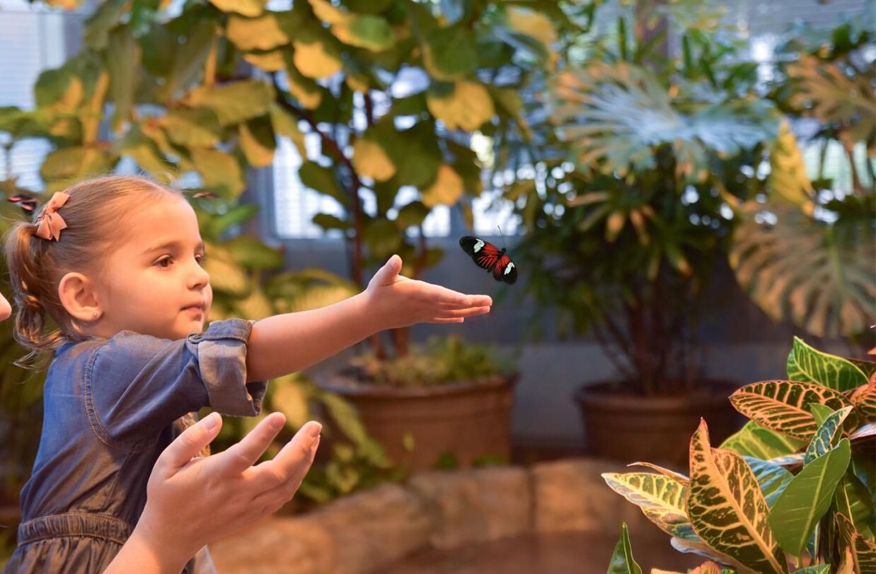 Picture of Milwaukee Public Museum