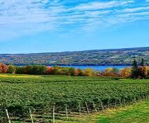 Picture of Seneca Wine Trail