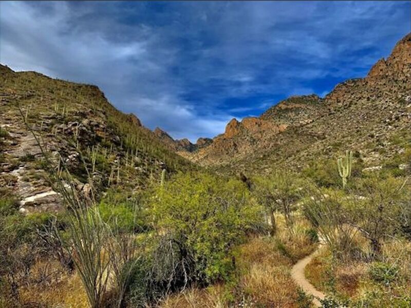 Picture of Pima Canyon Trailhead