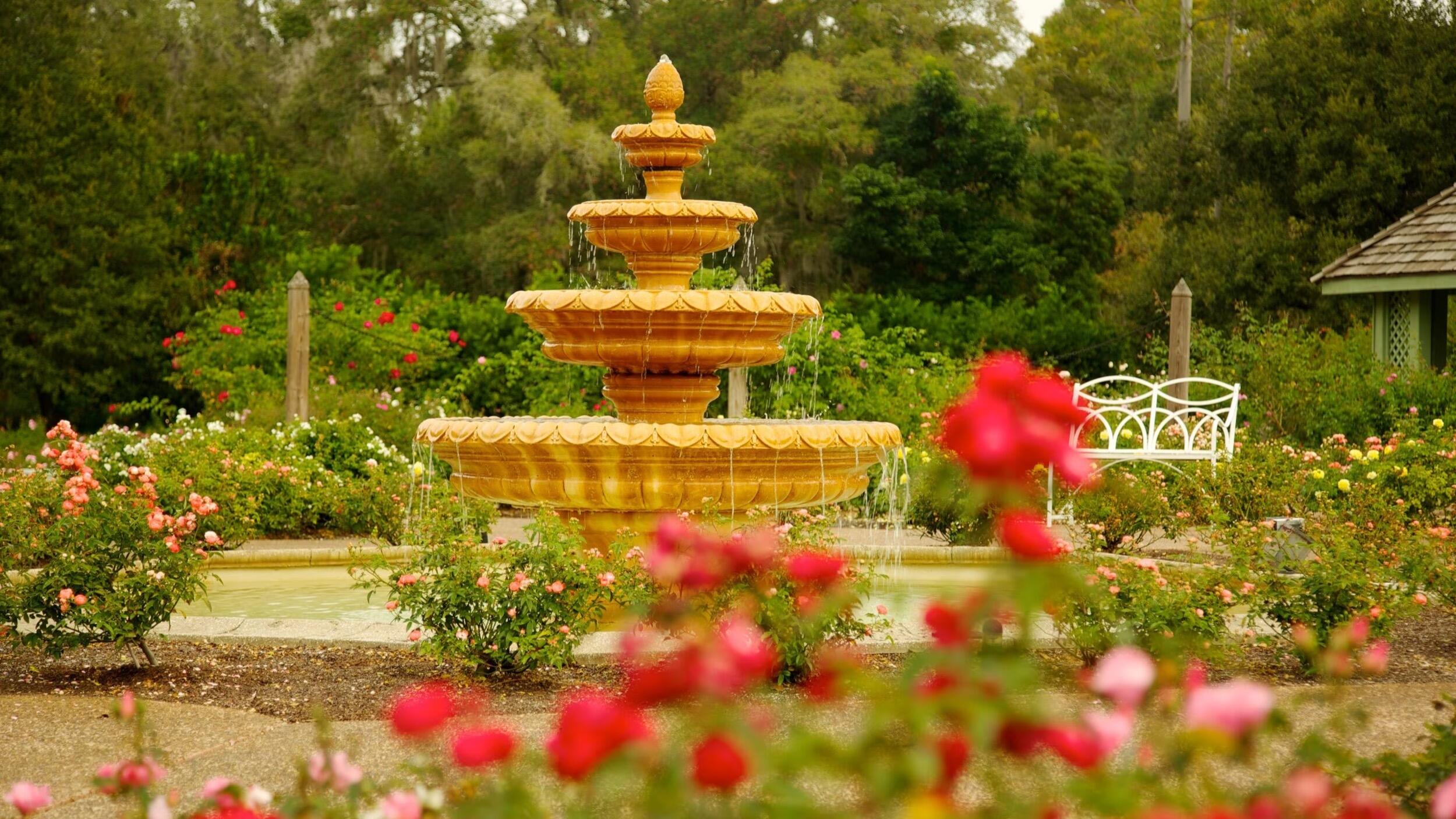 Picture of Harry P Leu Gardens