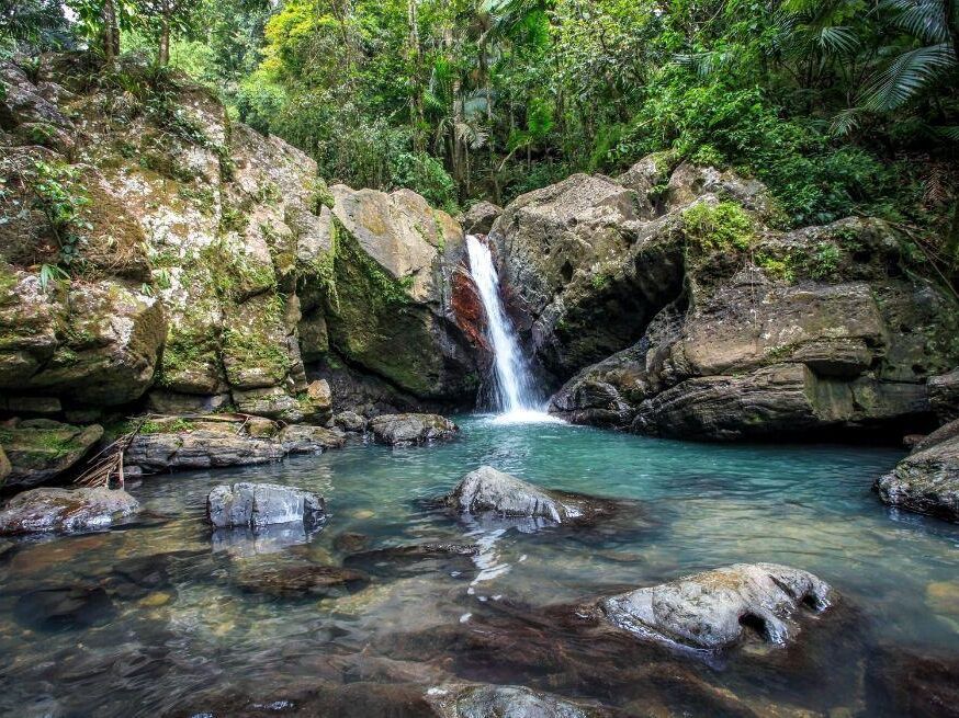 Picture of El Yunque National Forest
