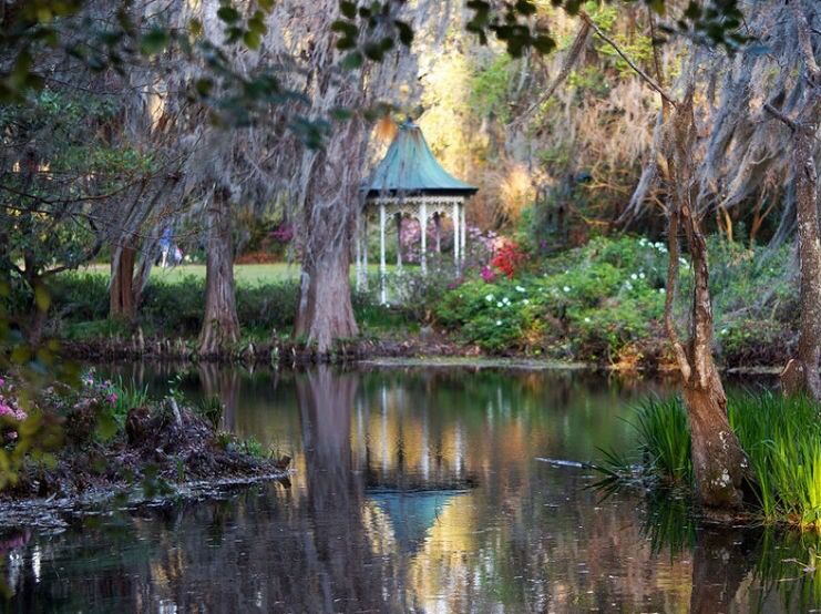 Picture of Magnolia Plantation and Gardens
