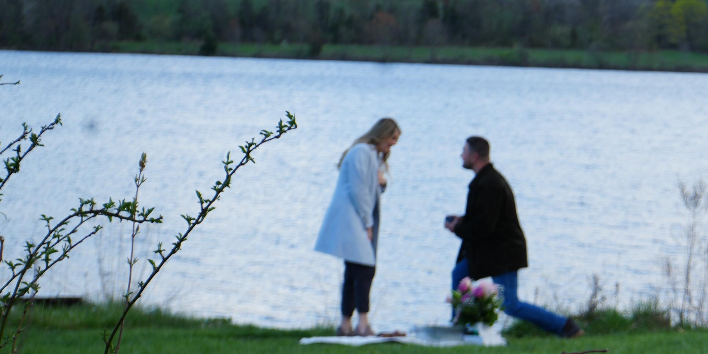 Picture of The Proposal 