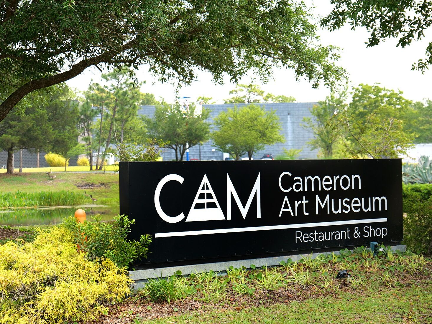 Picture of Cameron Art Museum