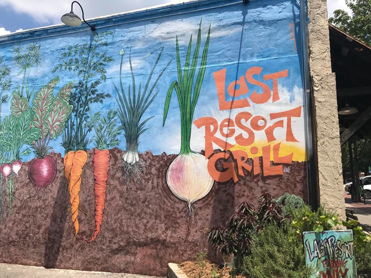 Picture of Last Resort Grill