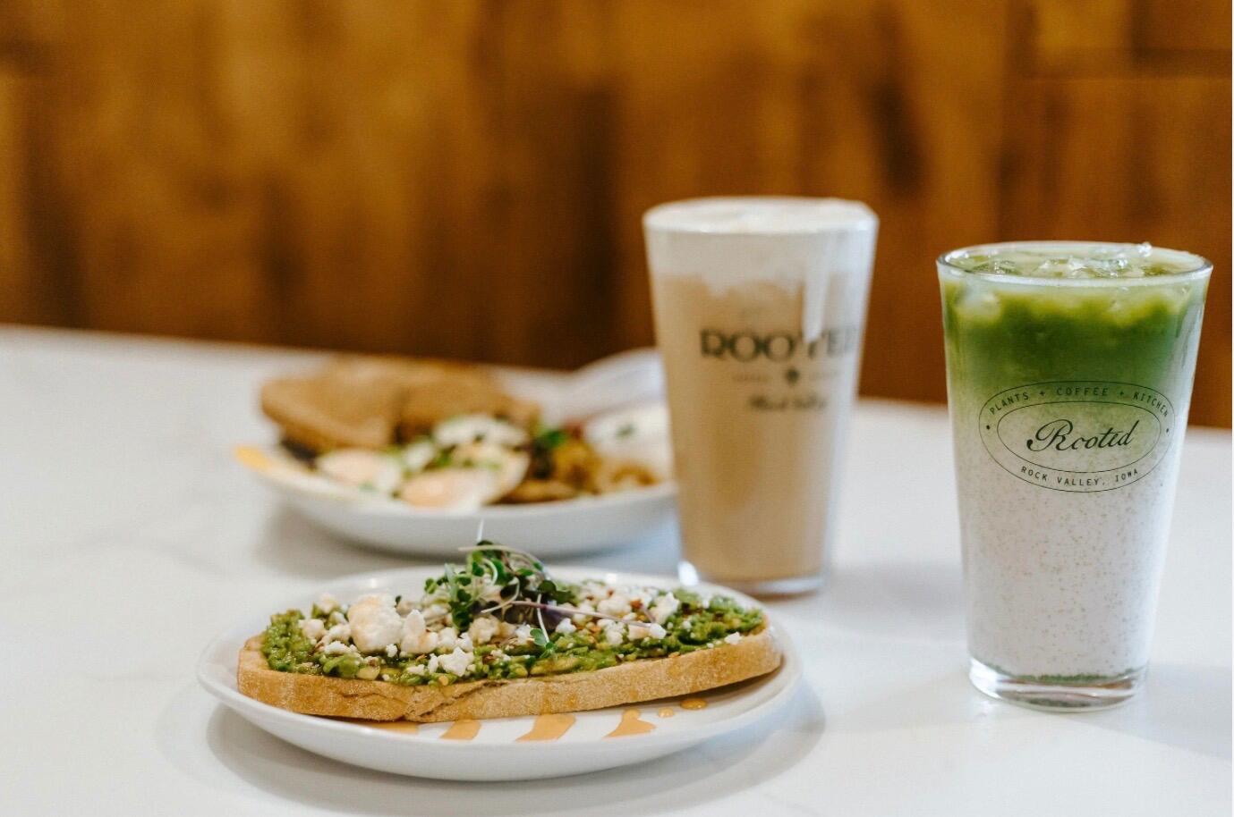 Picture of Rooted Plant + Coffee Shop