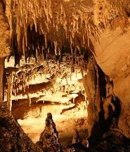 Picture of Mammoth Cave National Park