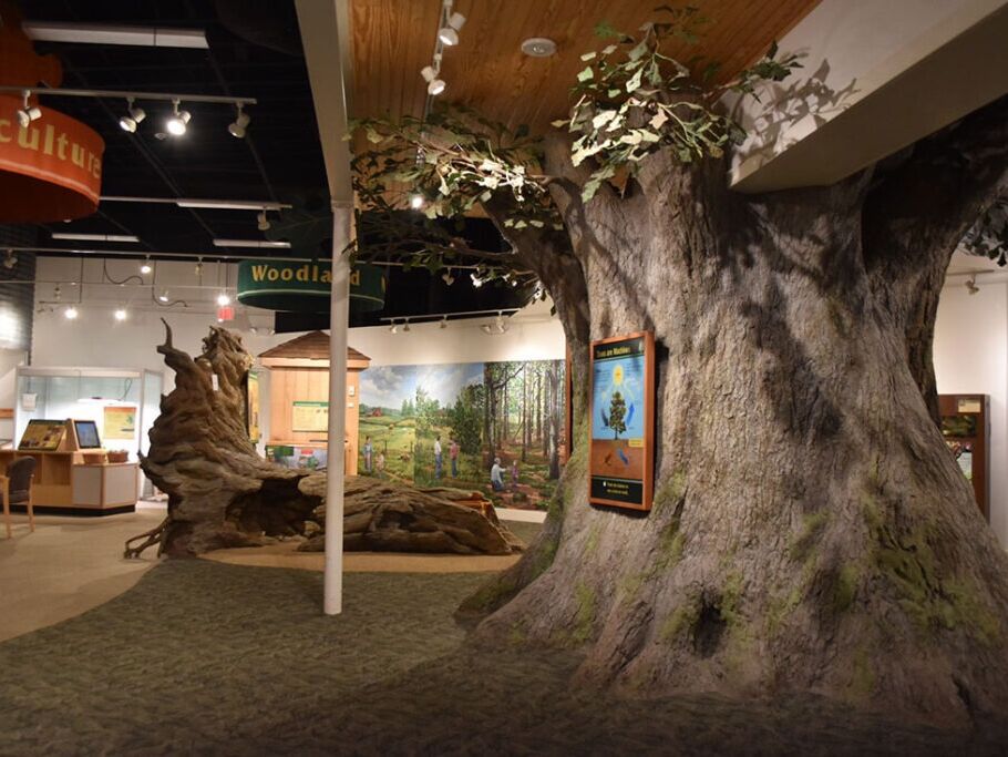 Picture of Sandy Creek Nature Center
