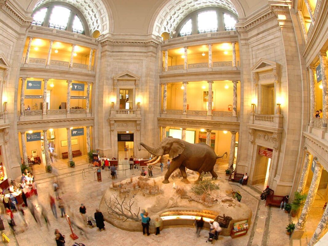 Picture of Smithsonian National Museum of Natural History