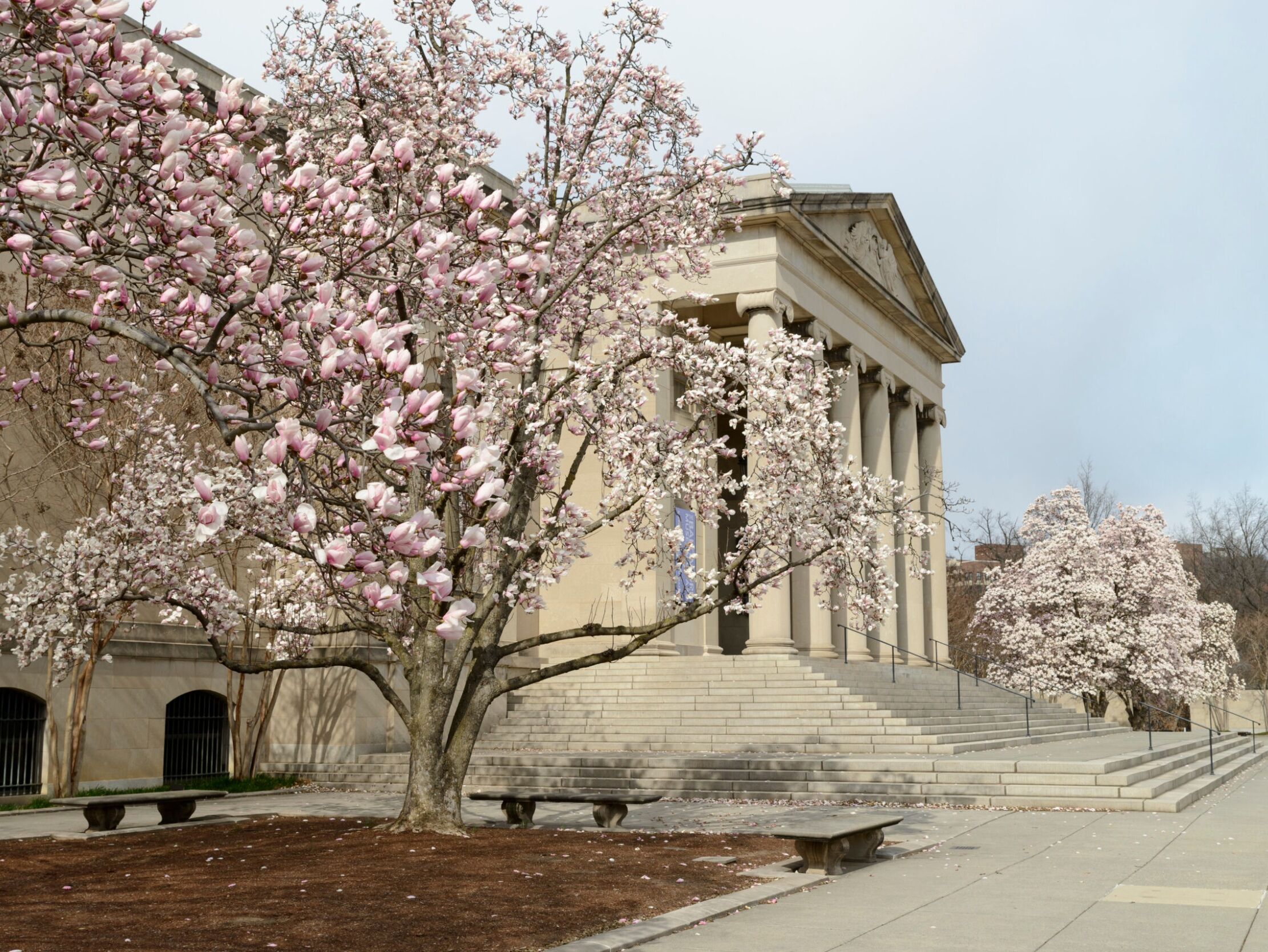 Picture of Baltimore Museum of Art