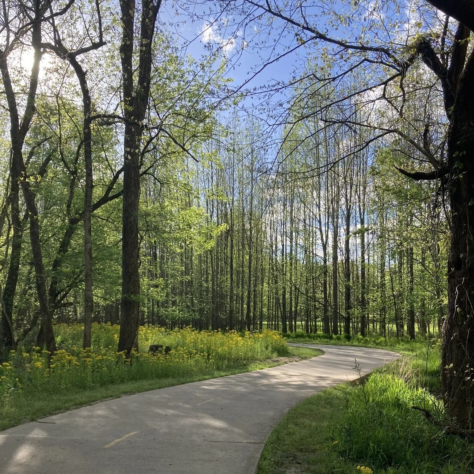 Picture of Big Creek Greenway