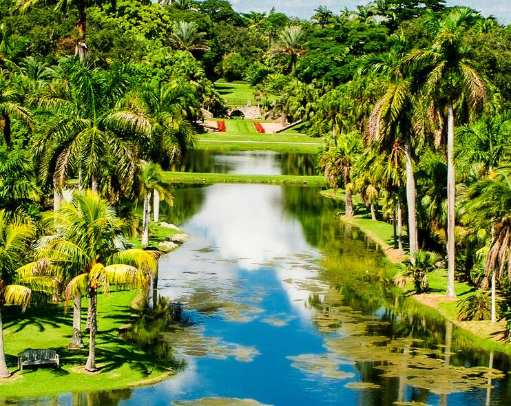 Picture of Fairchild Tropical Botanic Garden