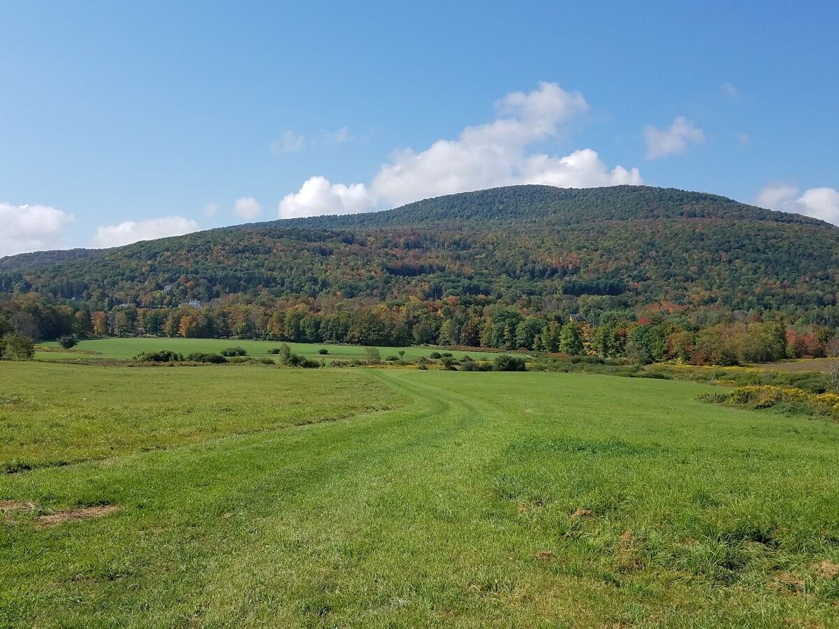 Picture of The Windham Path