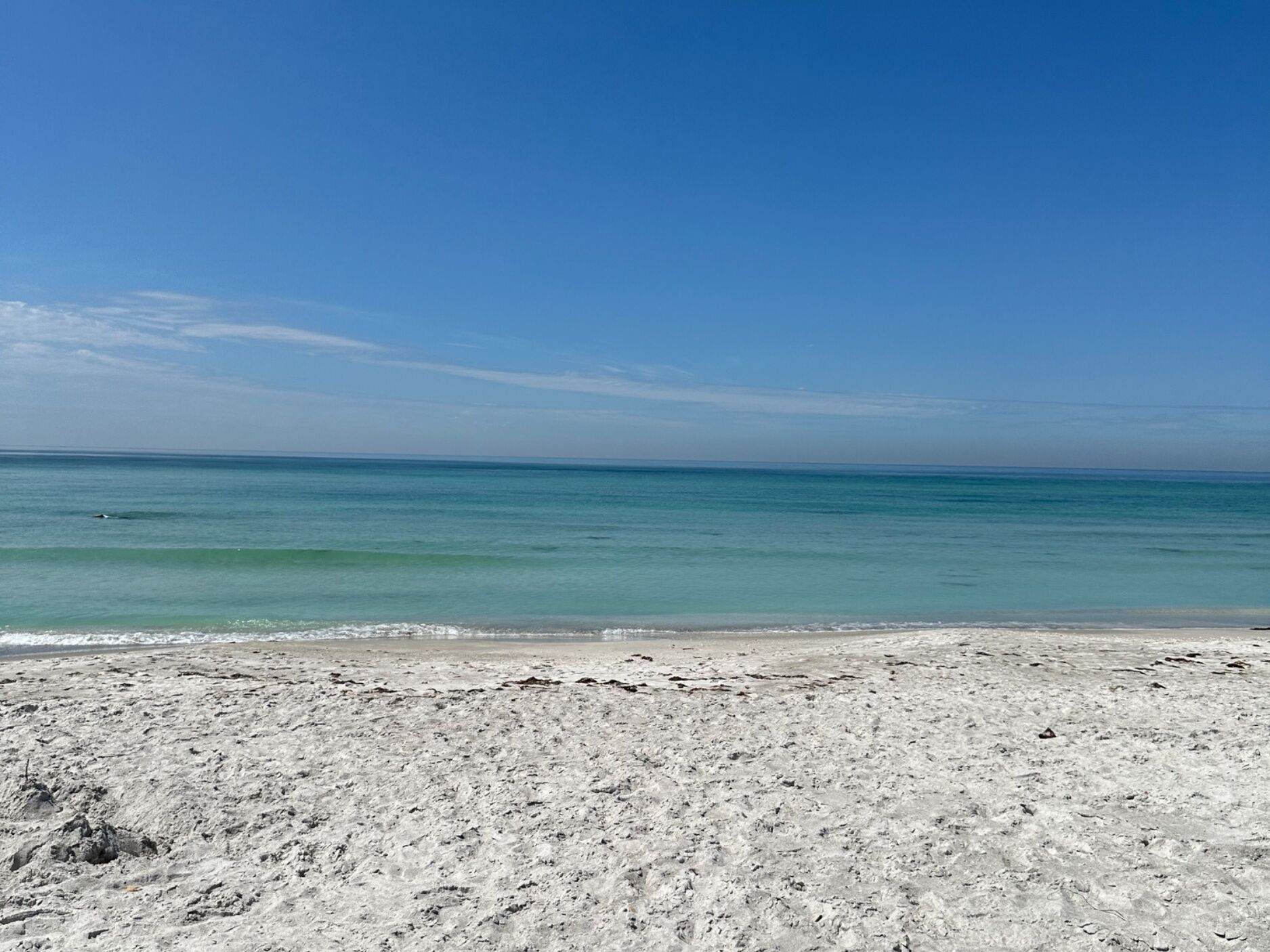 Picture of Longboat Key Public Beach Access & Parking