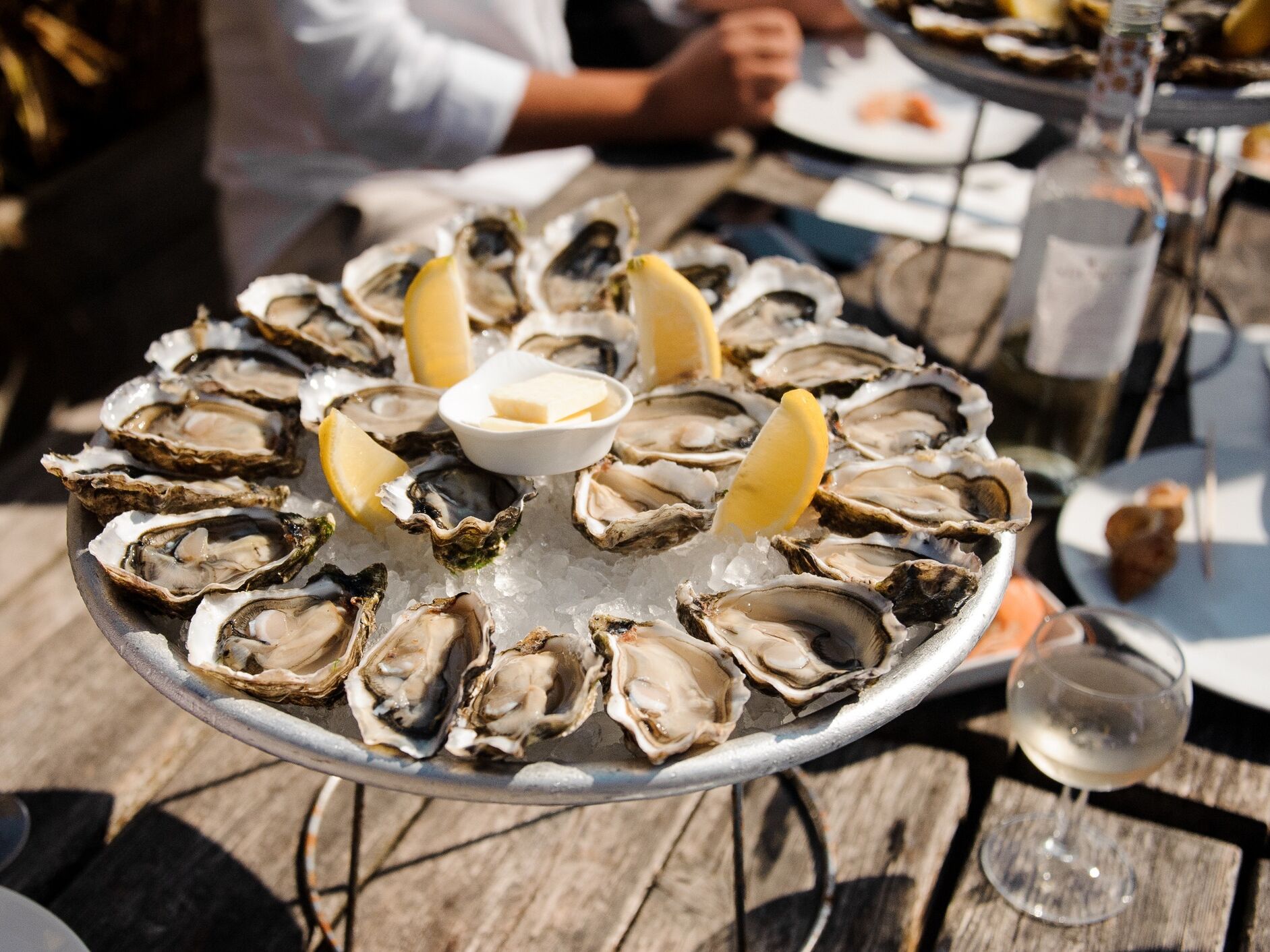 Picture of Impudent Oyster