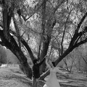 Gallery Photo 1