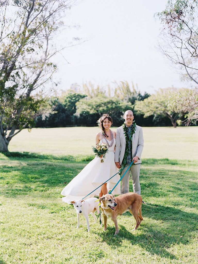 bride and groom with their dogs Hawaii