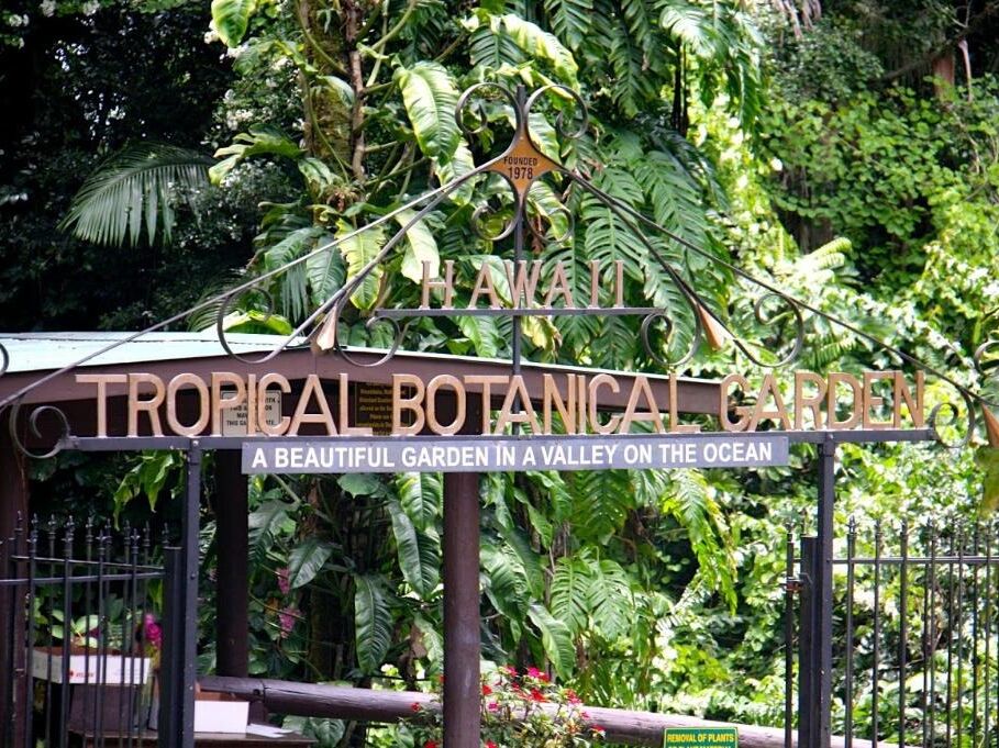 Picture of Hawai‘i Tropical Botanical Garden