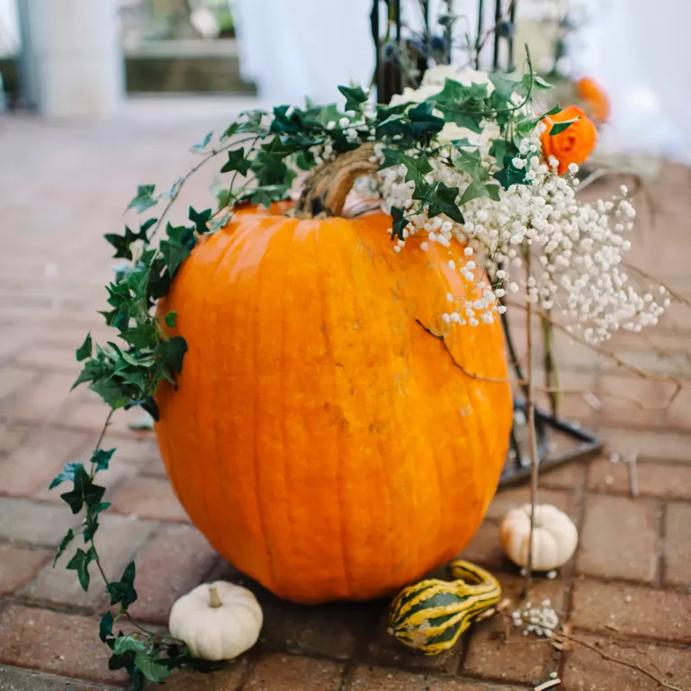 Pumpkin Flower Arrangements Engagement Photo Prop With Ivy and Baby's Breath