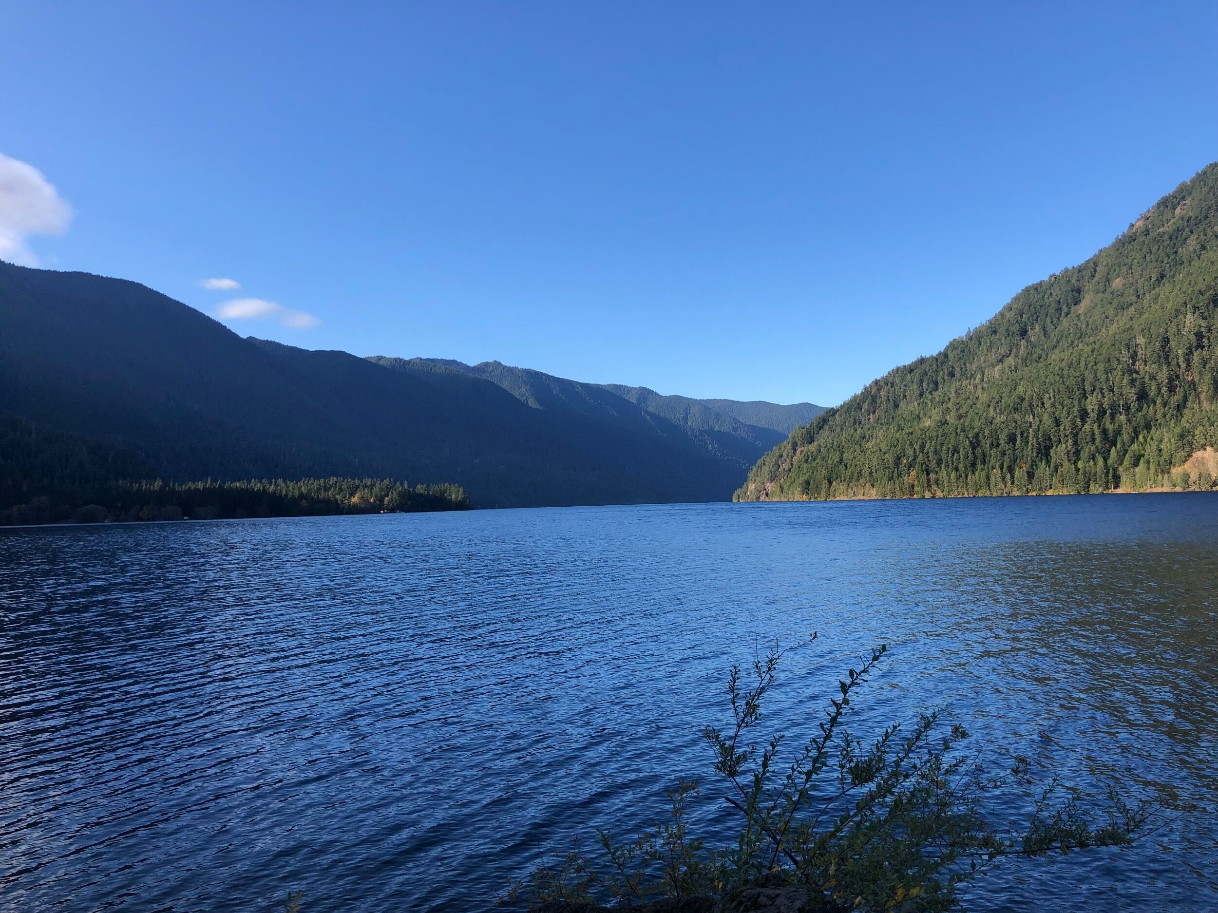Picture of Lake Crescent Lodge
