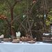 Eclectic Wooden Reception Decorations