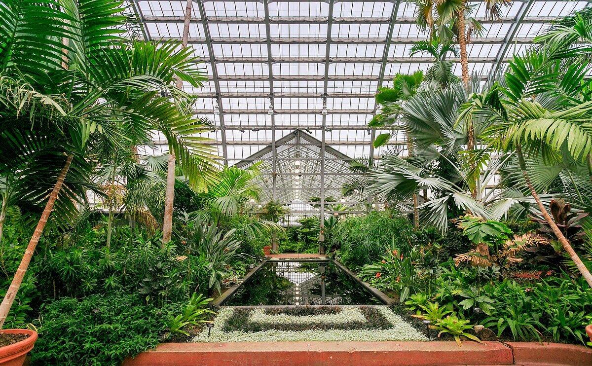 Picture of Garfield Park Conservatory - Reservations Required