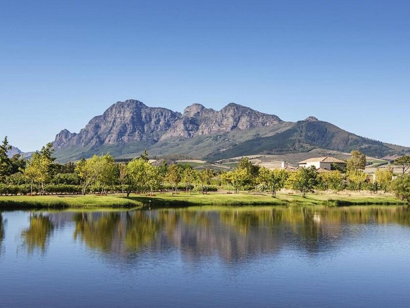 Picture of STELLENBOSCH WINE ROUTES