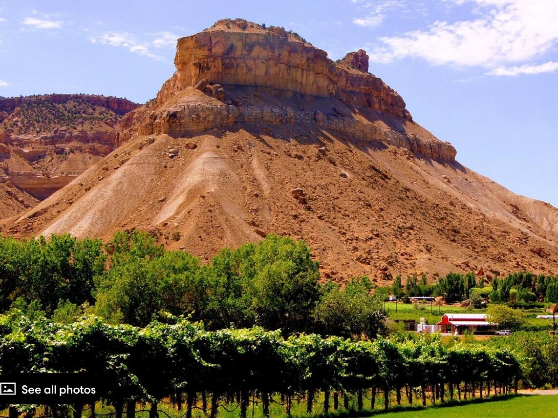 Picture of Palisade Wineries, Sip and Cycle