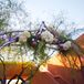 Classic Wedding Arch with Overhanging Florals