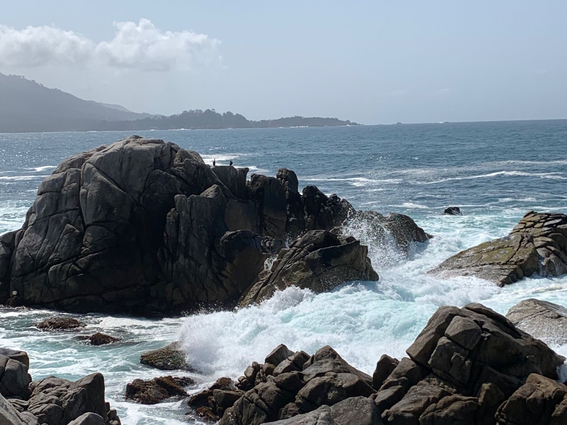 Picture of Highway 1 Gate - 17 Mile Drive
