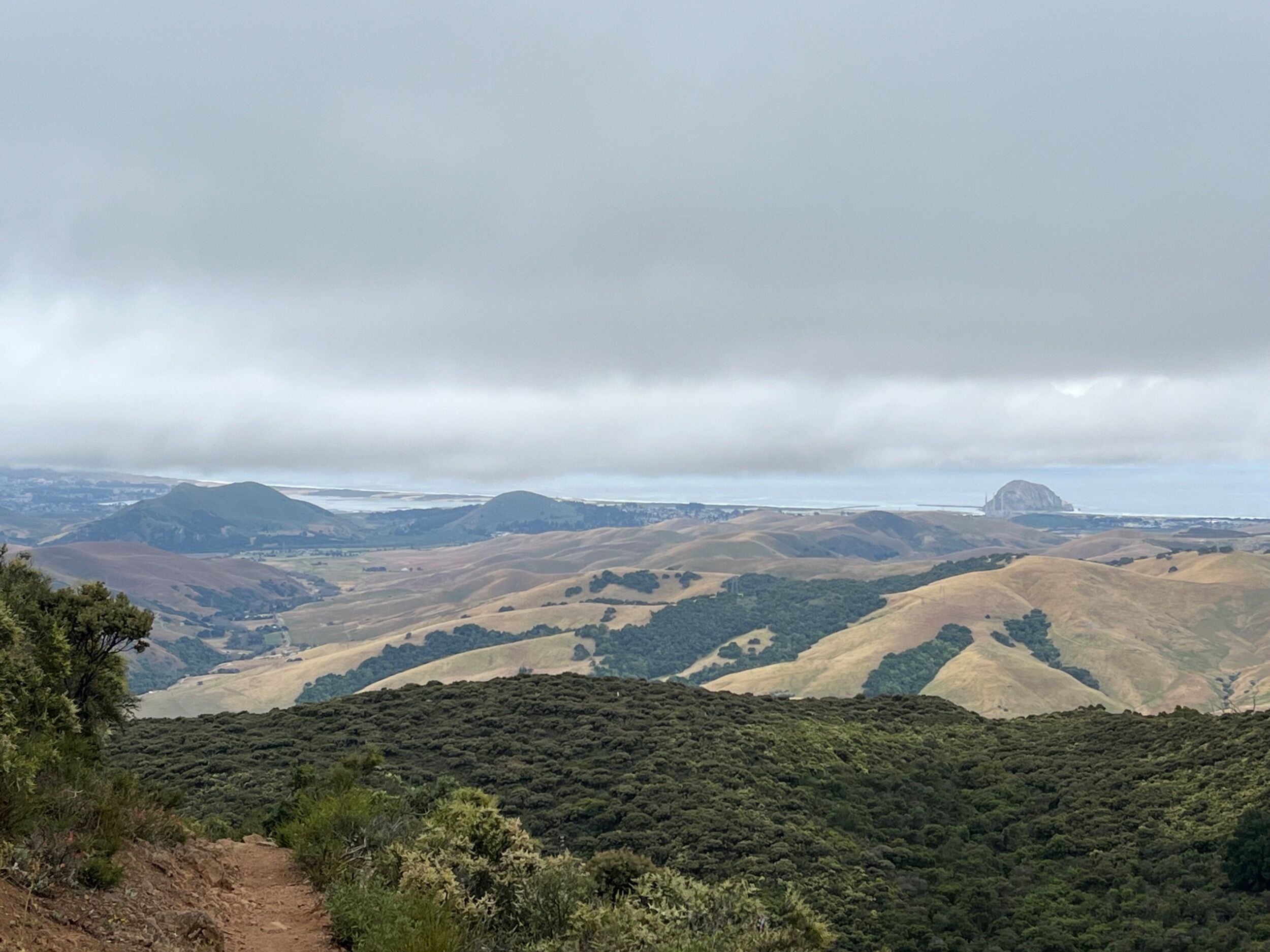 Picture of Cerro Alto Trail