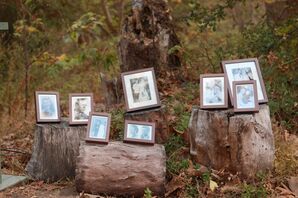 Vintage Family Photos Displayed on Wooden Stumps