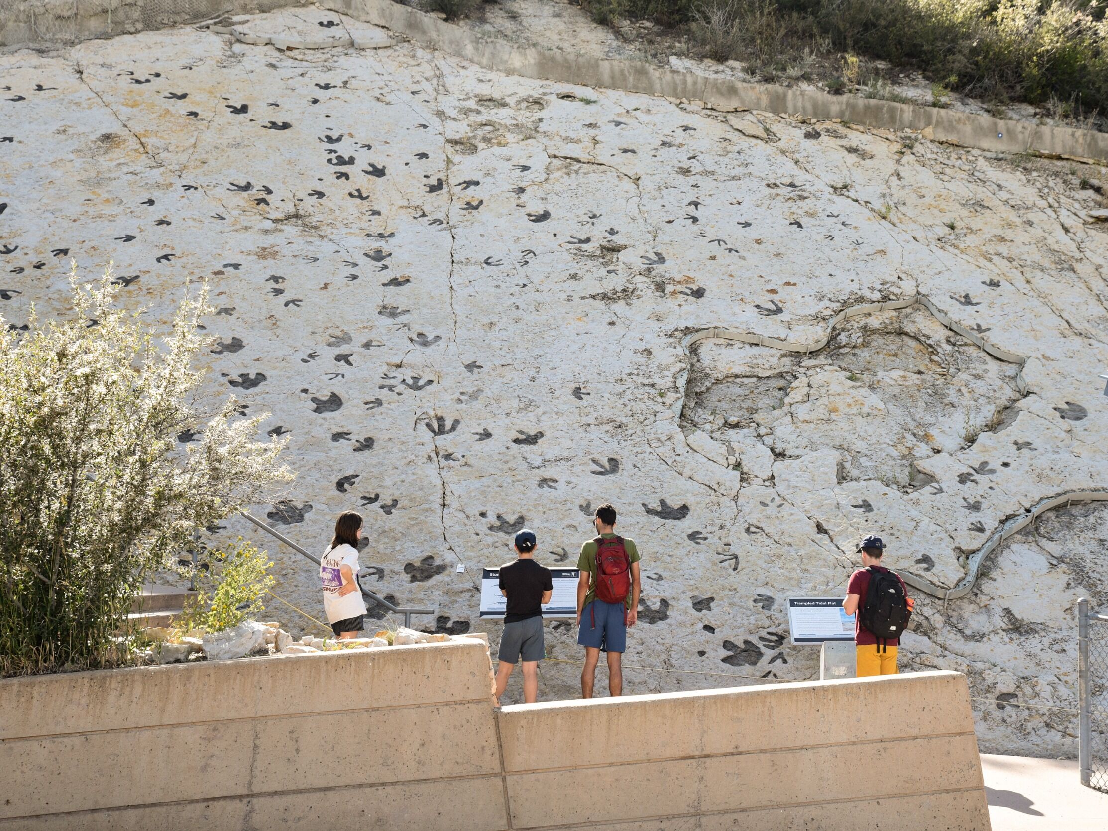 Picture of Dinosaur Ridge Main Visitor Center